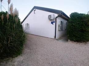 Dream House-otok Vir